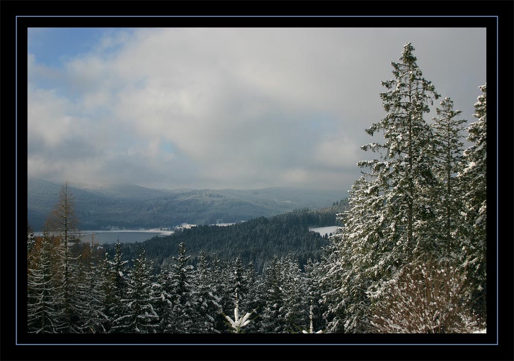 Blick auf den Schluchsee