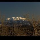 Blick auf den Schneeberg