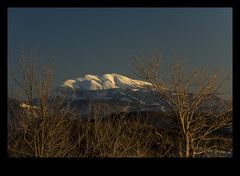 Blick auf den Schneeberg