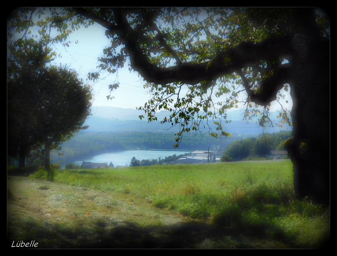 Blick auf den schönen Hochrhein