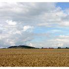 Blick auf den Schulzenberg bei Fulda