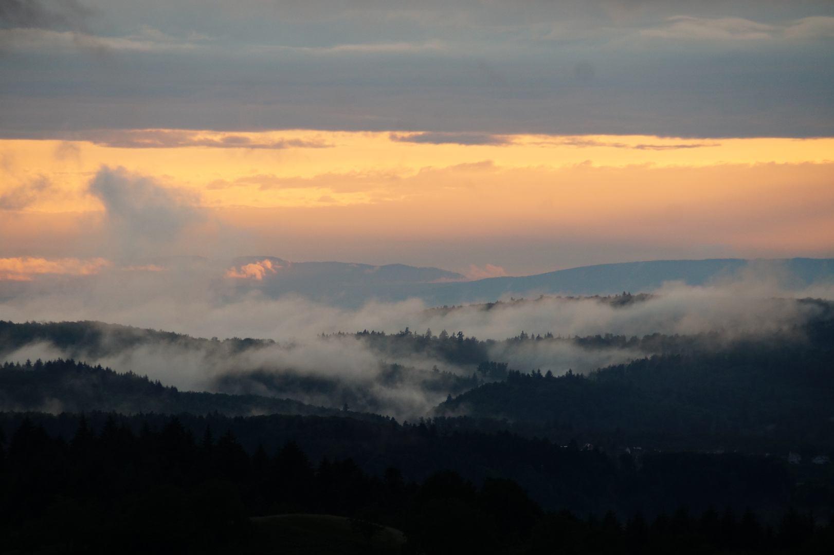 Blick auf den Schwarzwald