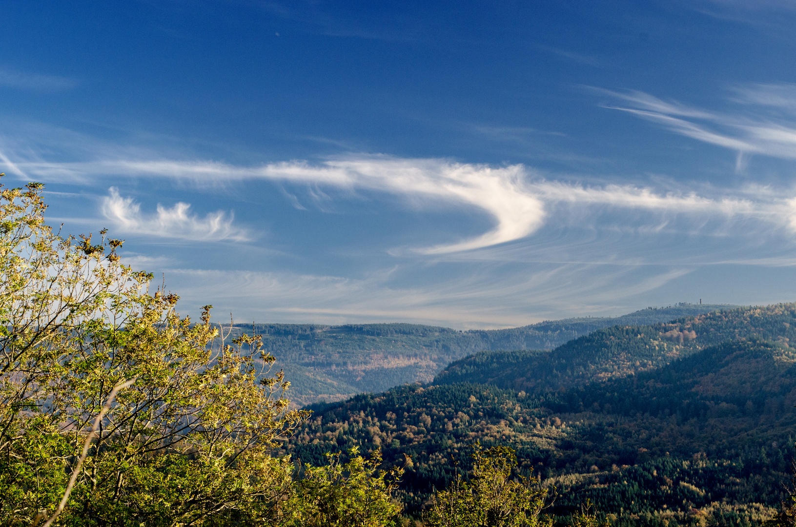 Blick auf den Schwarzwald