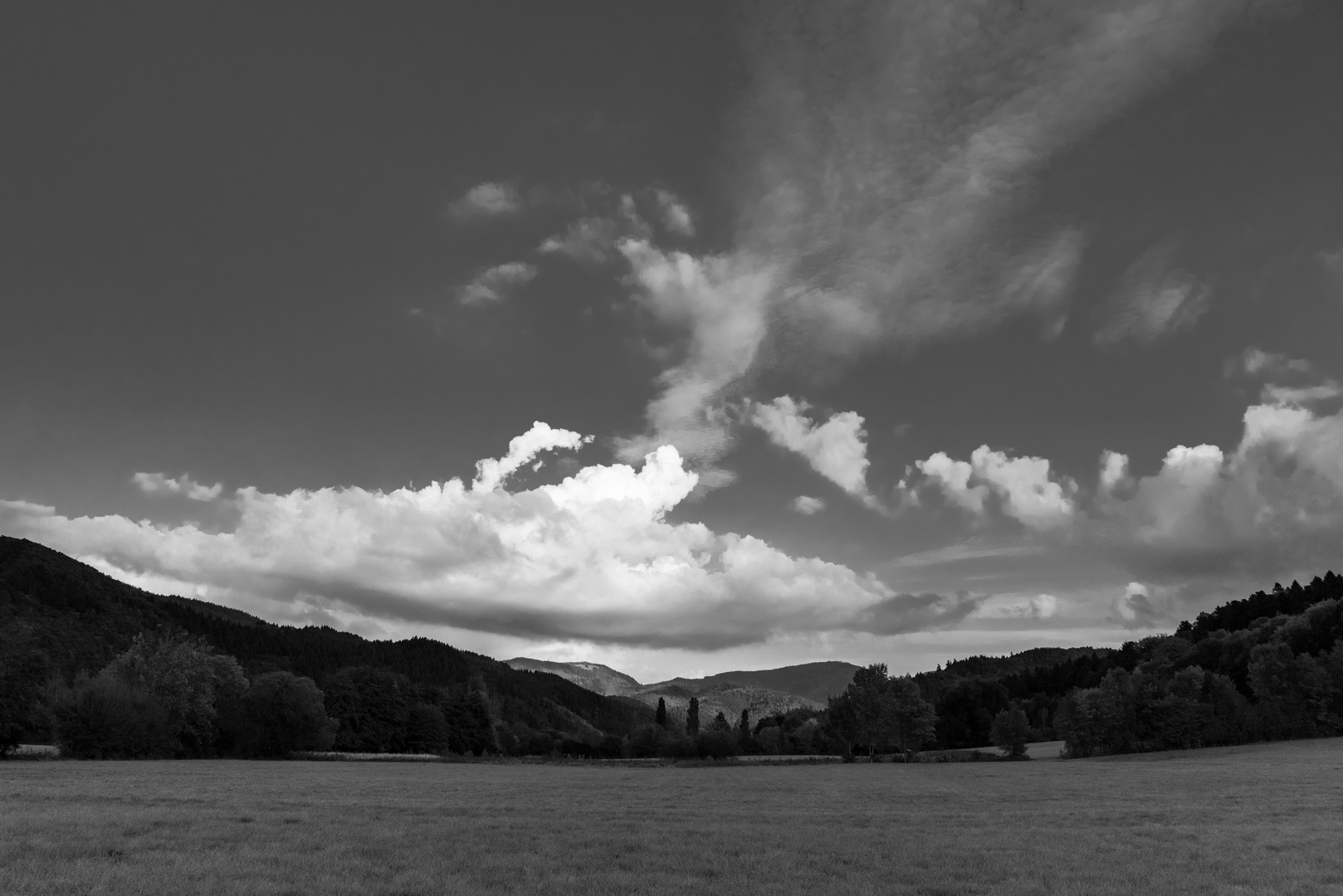 Blick auf den Schwarzwald