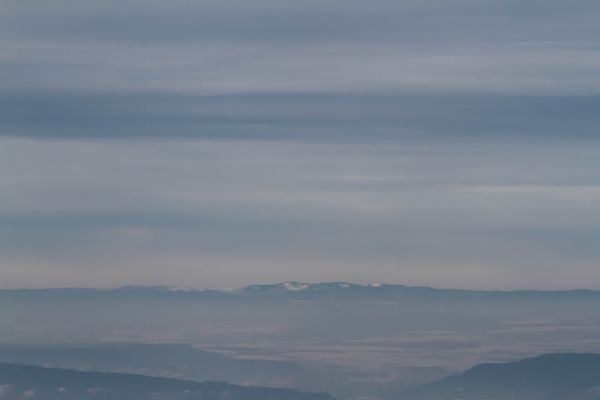 Blick auf den Schwarzwald