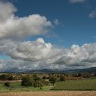 Blick auf den Schwarzwald II