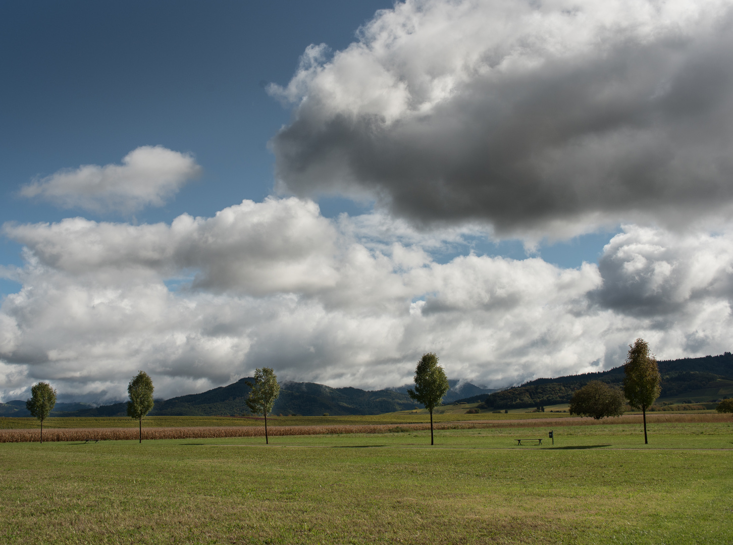 Blick auf den Schwarzwald III