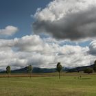 Blick auf den Schwarzwald III