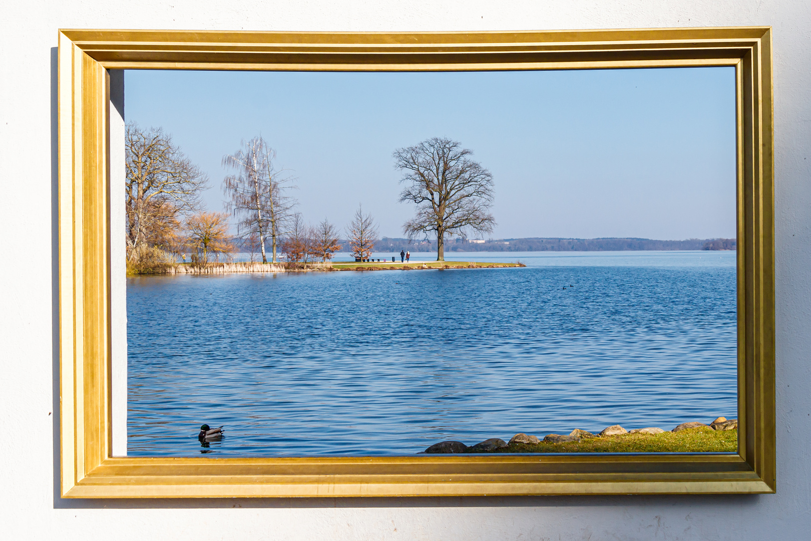 Blick auf den Schweriner See - Thementag Durchblick