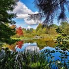 Blick auf den See