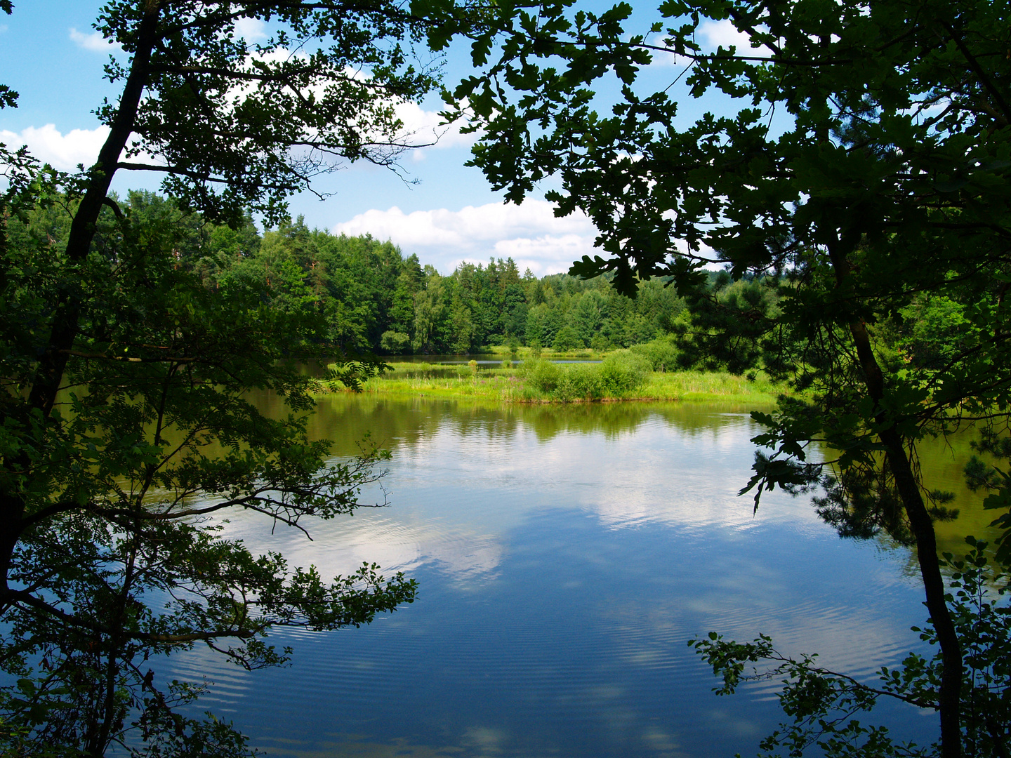 Blick auf den See