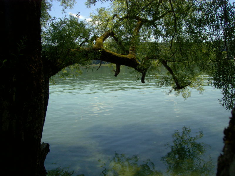 blick auf den see