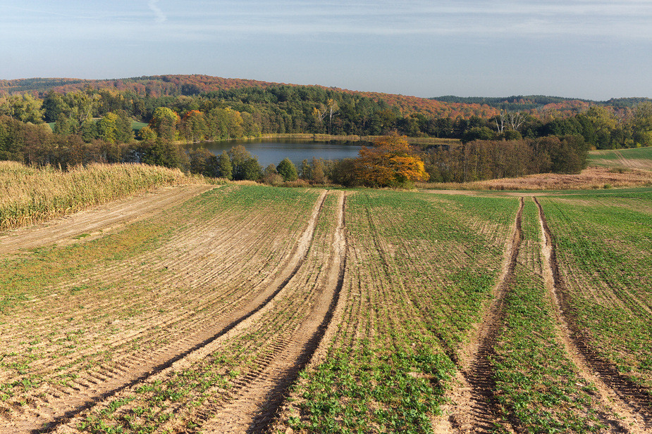 Blick auf den See