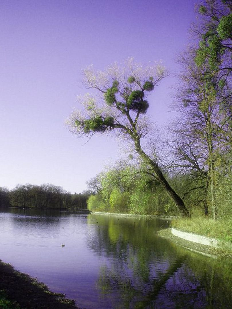 Blick auf den See