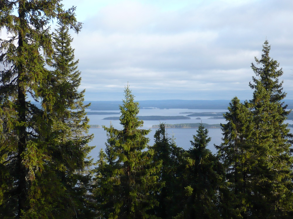 Blick auf den See