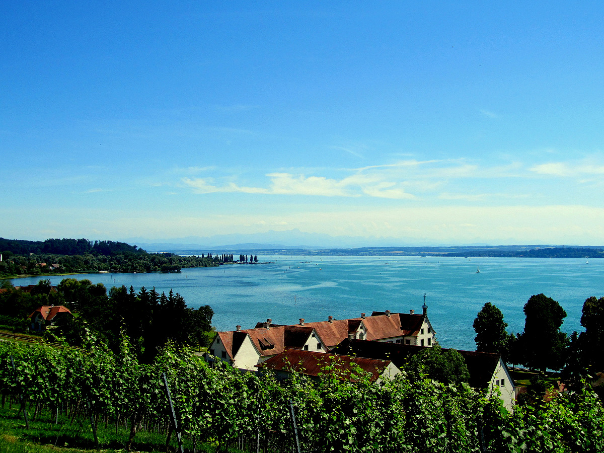 Blick auf den See