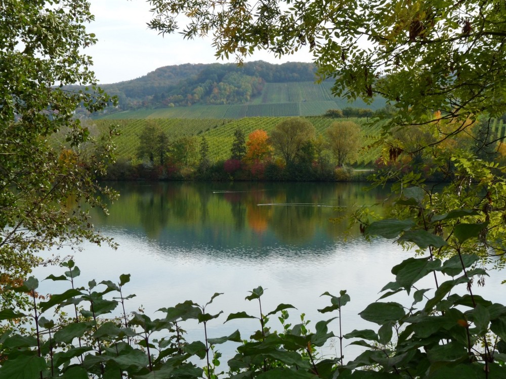 Blick auf den See