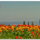 Blick auf den See