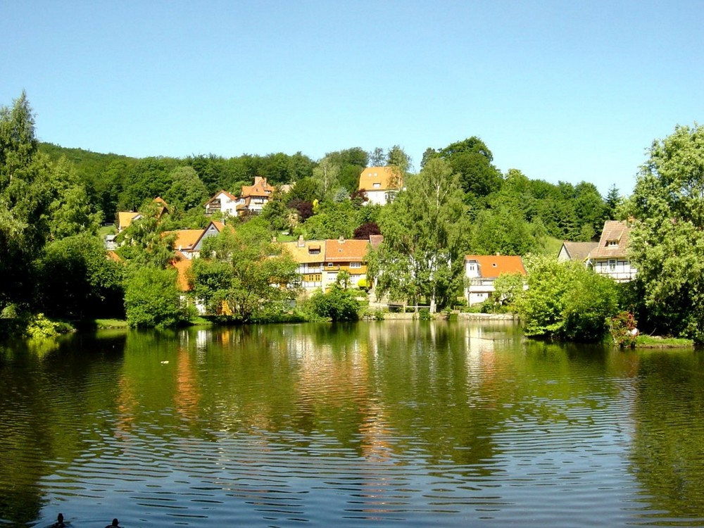 Blick auf den See