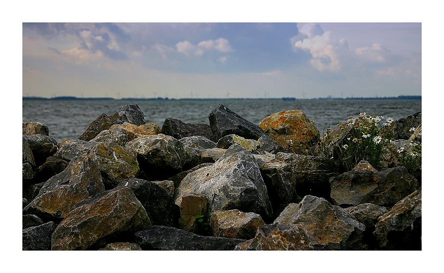 Blick auf den See