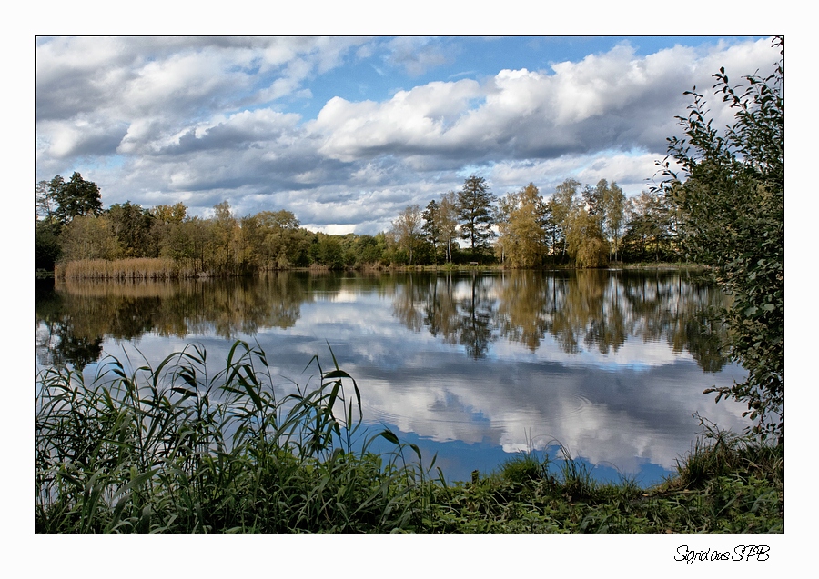 Blick auf den See.....