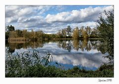 Blick auf den See.....