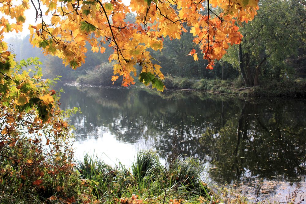 Blick auf den See