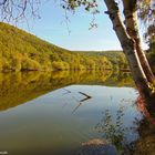 Blick auf den See