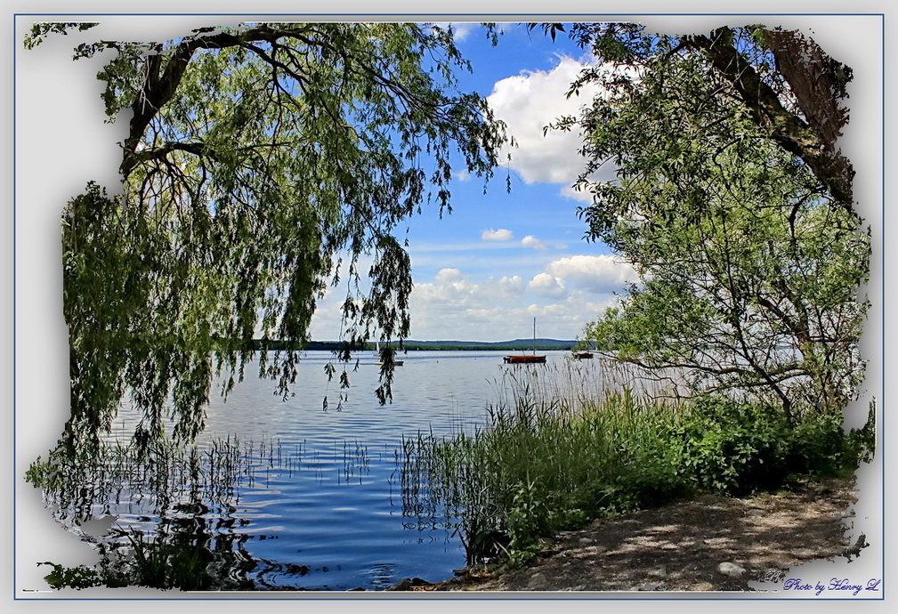 Blick auf den See