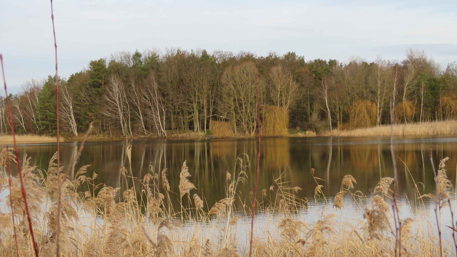 Blick auf den See