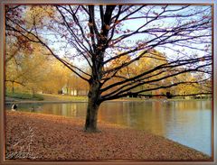 Blick auf den See durch einen fast kahlen Baum