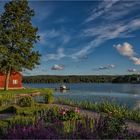 Blick auf den See Mälaren