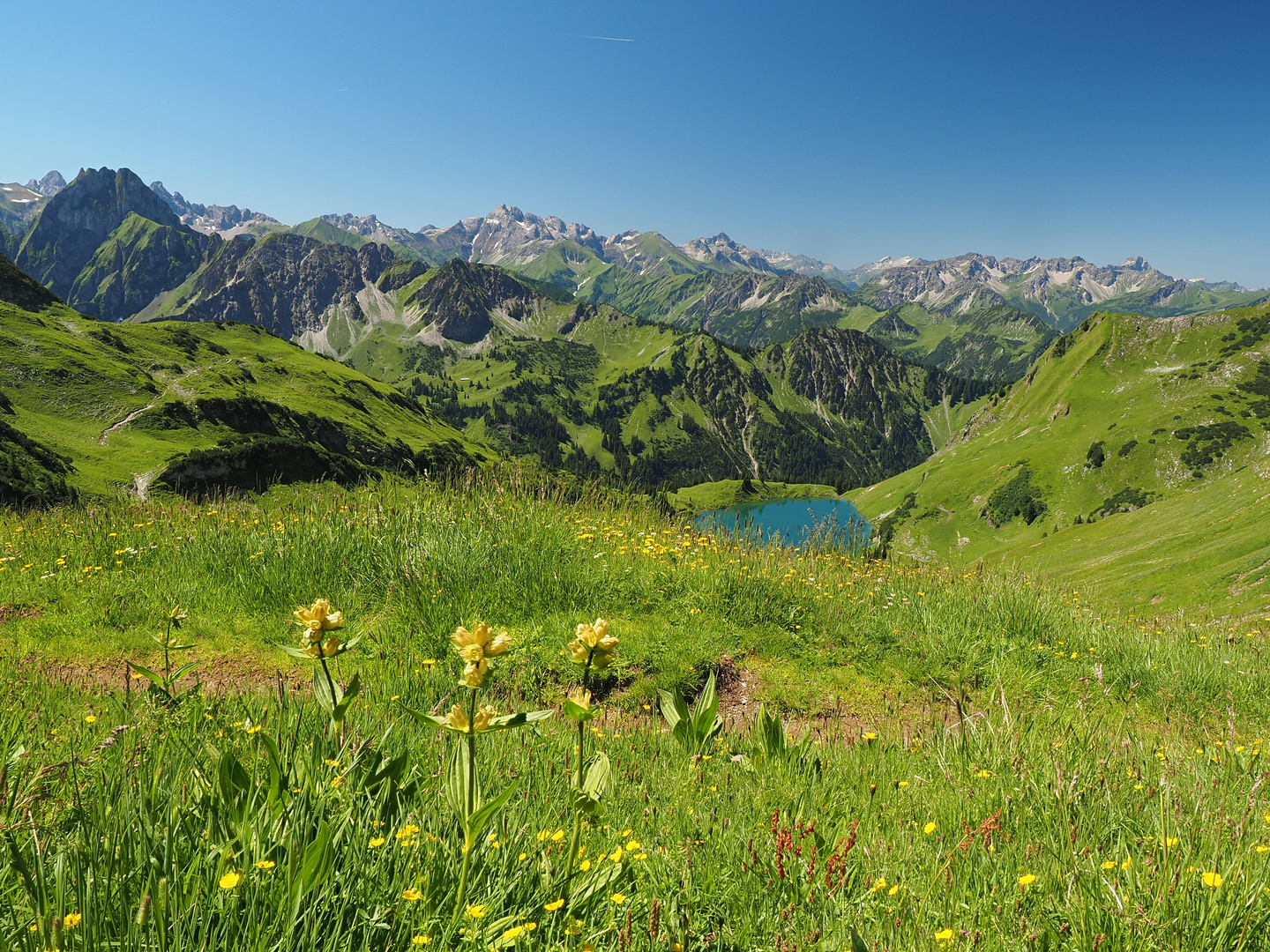 Blick auf den Seealpsee