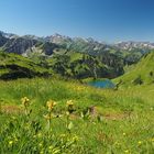 Blick auf den Seealpsee