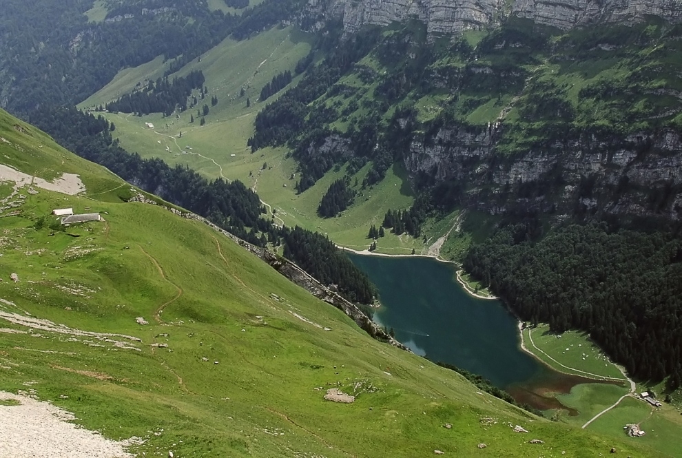 Blick auf den Seealpsee