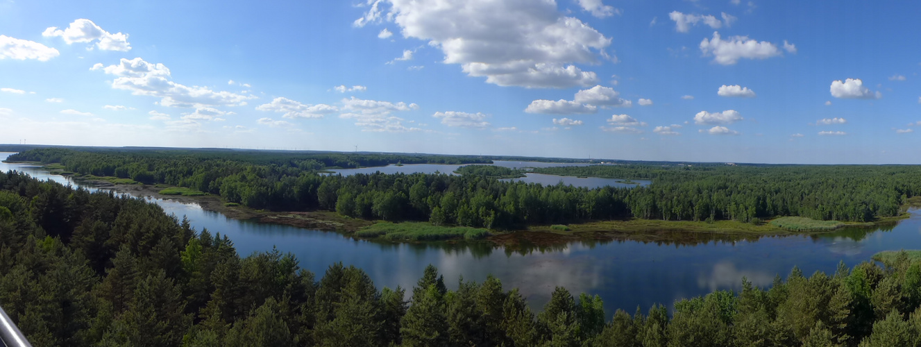 Blick auf den Senftenberger See