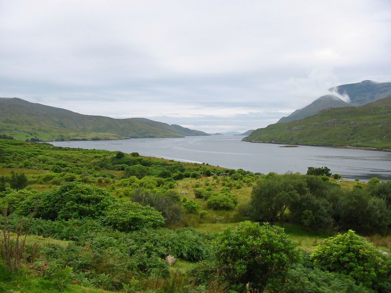 Blick auf den Shannon