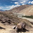 Blick auf den Shyok River