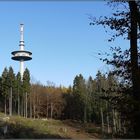 Blick auf den Siegener Fernmeldeturm