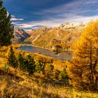 Blick auf den Silsersee