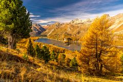 Blick auf den Silsersee