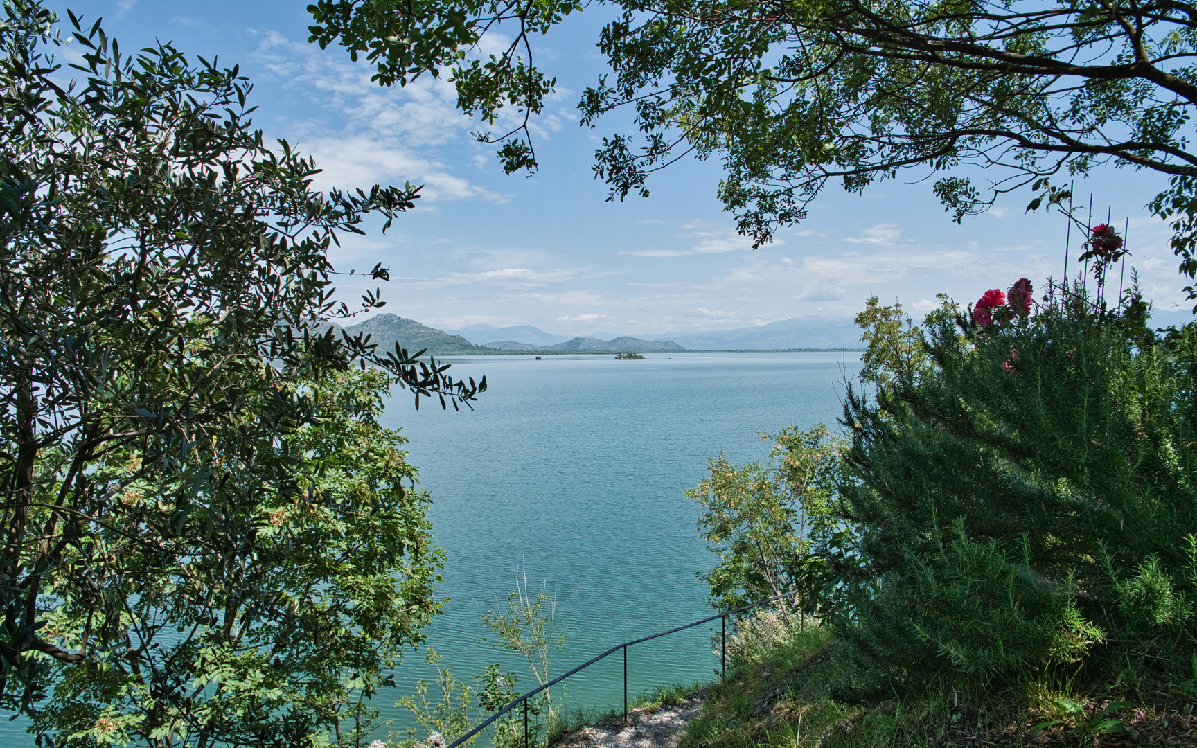 Blick auf den Skutarisee