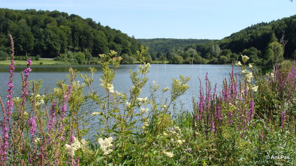 Blick auf den sommerlichen Hahnenkammsee - Franken II