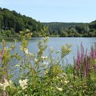 Blick auf den sommerlichen Hahnenkammsee - Franken II