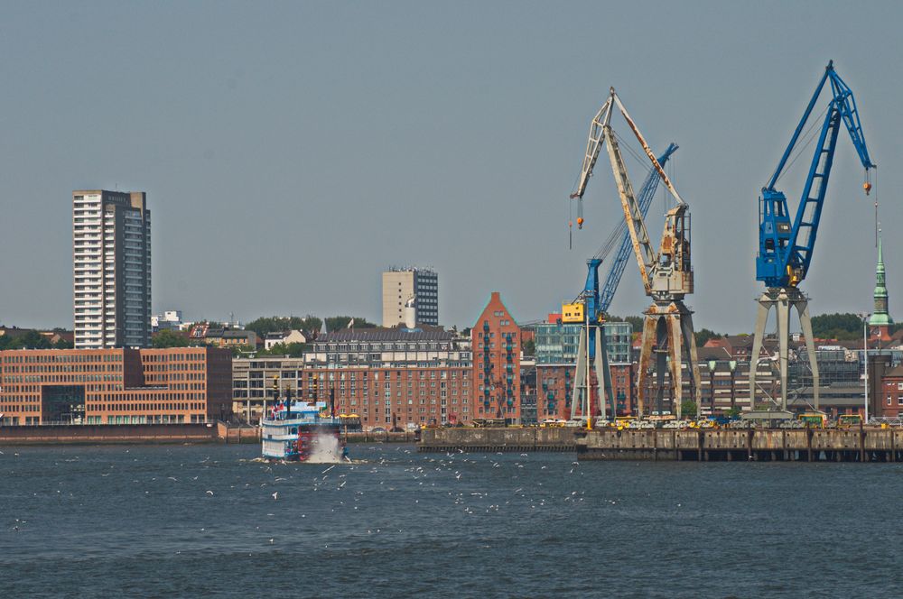 Blick auf den St. Pauli Fischmarkt