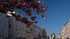 Blick auf den Stadtplatz Wels, Oberösterreich