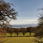 Blick auf den Starnberger See