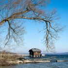 Blick auf den Starnberger See