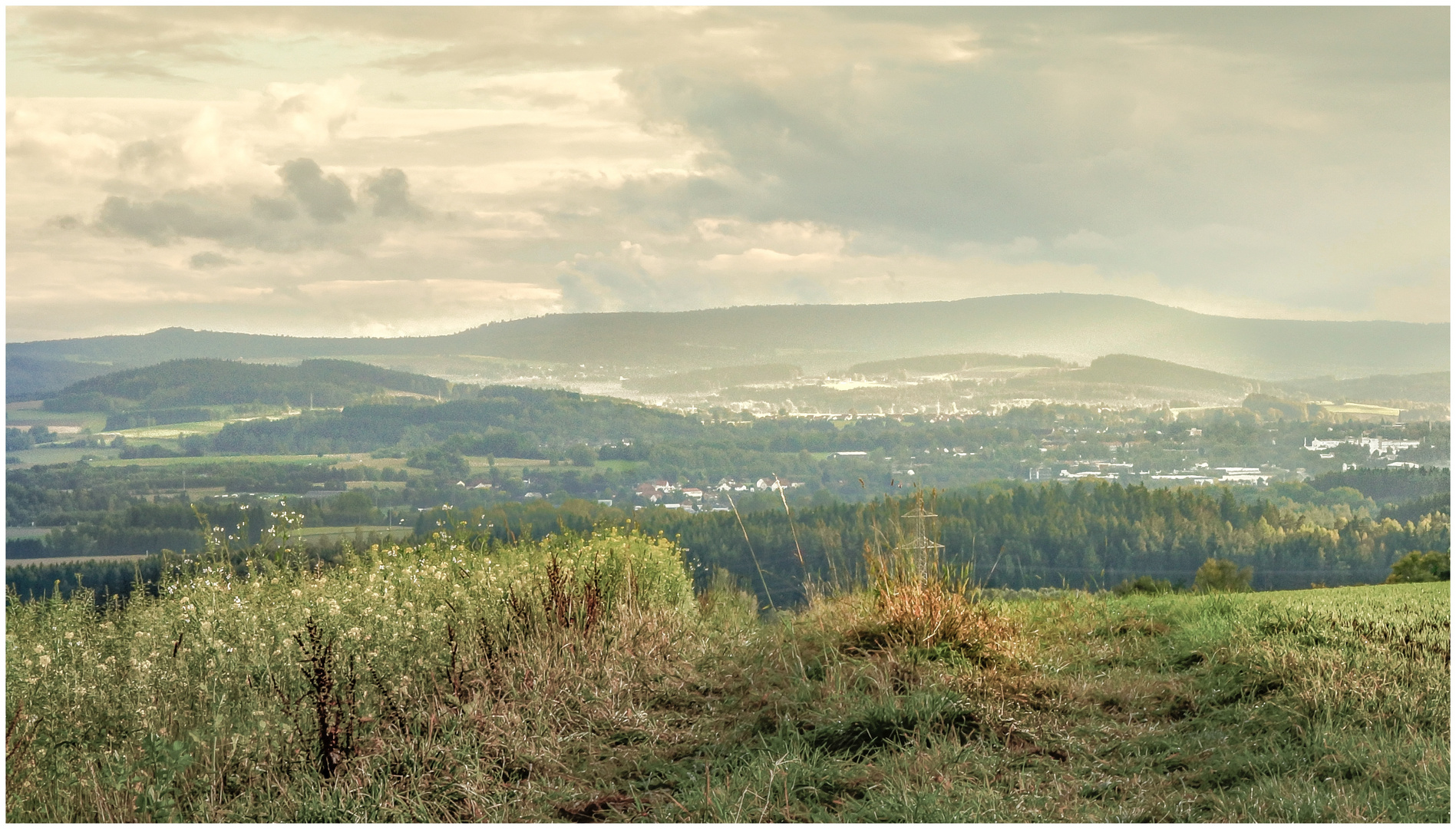 Blick auf den Steinwald