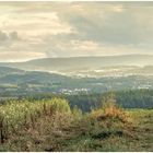 Blick auf den Steinwald